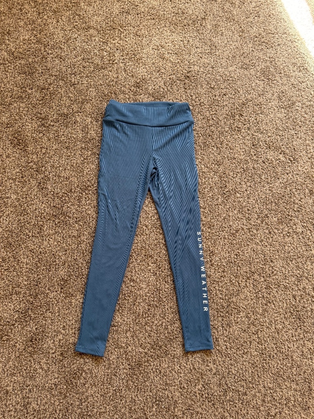 Blue Leggings